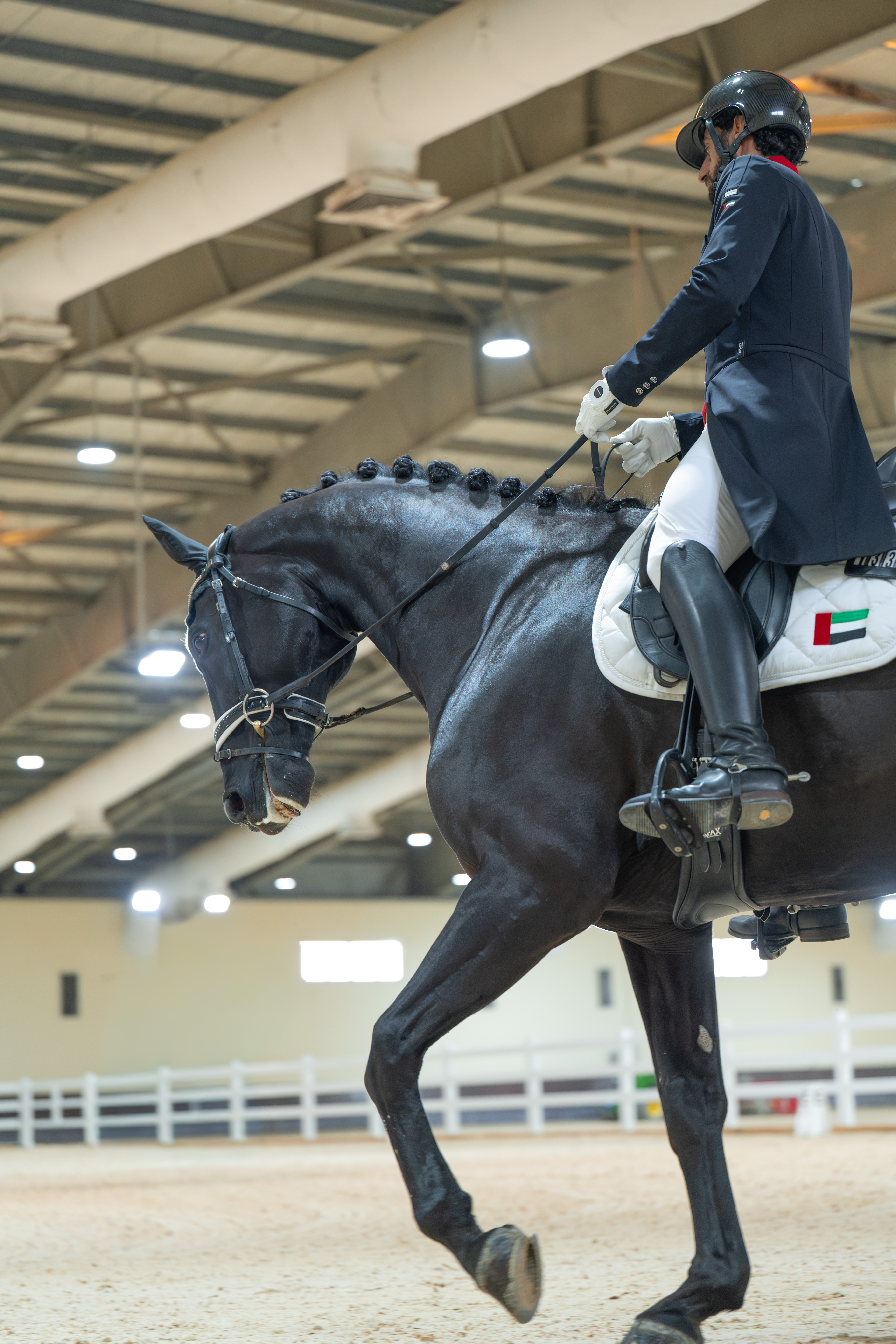 Horse and rider suspended above a show-jumping fence